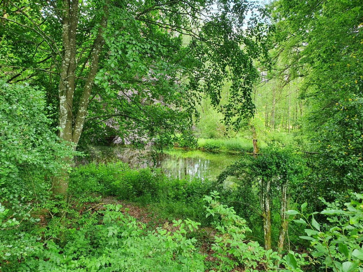 Sur La Rive Vierre Villa Suxy Buitenkant foto